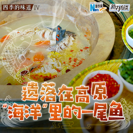 遺落在高原&ldquo;海洋&rdquo;里的一尾魚(yú)