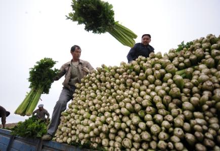 劉永富：發(fā)展產(chǎn)業(yè)脫貧仍是精準(zhǔn)扶貧、精準(zhǔn)脫貧主攻方向