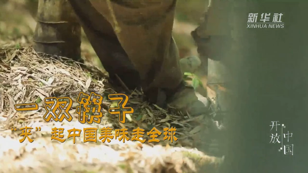 一雙筷子：&ldquo;夾&rdquo;起中國(guó)美味走全球