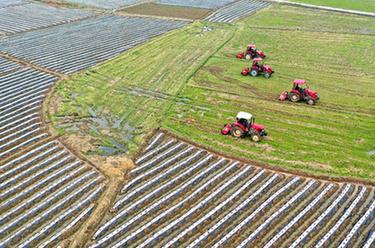 忙碌的新農人&mdash;&mdash;祖國各地春耕掃描