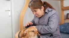 &ldquo;有你在身旁，真好&rdquo;