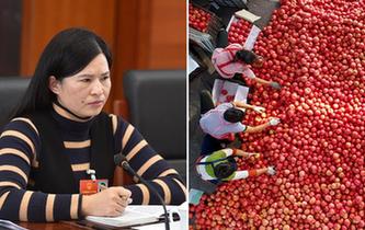 全國(guó)人大代表曾云英：新型農(nóng)業(yè)將迎來高質(zhì)量發(fā)展的機(jī)遇