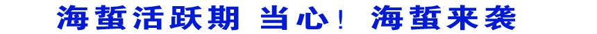 海蜇活躍期 當(dāng)心!海蜇來(lái)襲