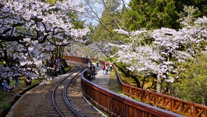 大陸對臺企臺胞送出&ldquo;大禮包&rdquo; 國臺辦：開放力度大前所未有