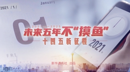未來五年，不&ldquo;摸魚&rdquo;
