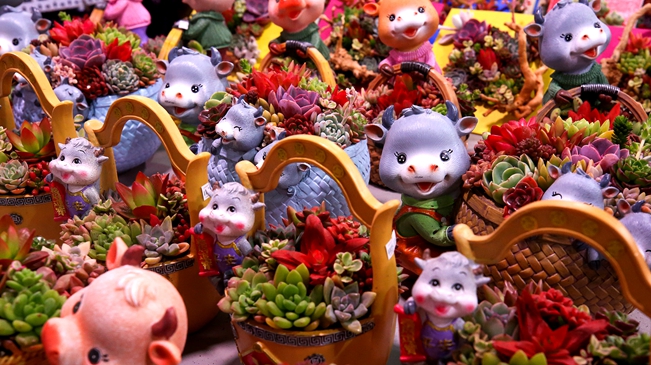 就地過年 你準備好了嗎？