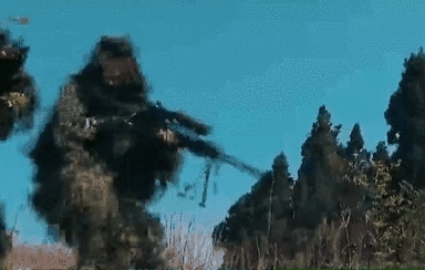 突入，擊斃！直擊武警特戰(zhàn)反劫持演練！