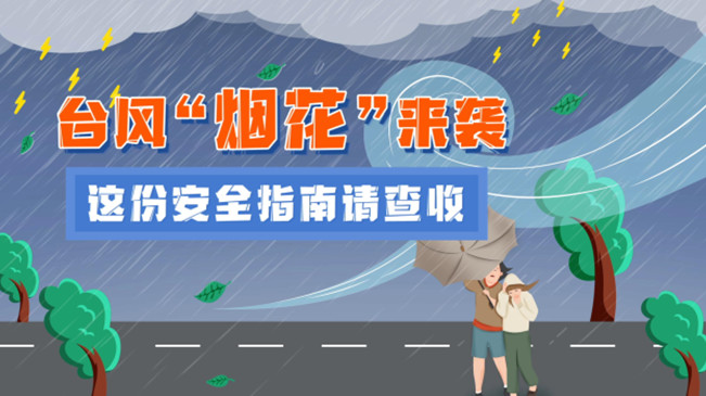 MG動畫：臺風(fēng)&ldquo;煙花&rdquo;來襲，這份安全指南請查收