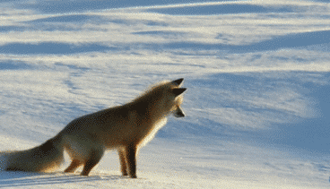 寒潮再襲 網(wǎng)友靈魂拷問：這么冷為何還不下雪？