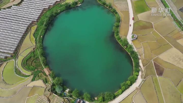 稻田新插，這里的山村美翻了！