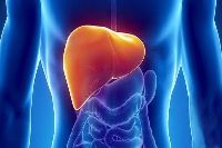 【健康解碼】轉(zhuǎn)氨酶輕度升高要不要緊？