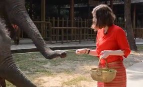 勐巴拉娜西！&ldquo;洋記者&rdquo;帶你游西雙版納