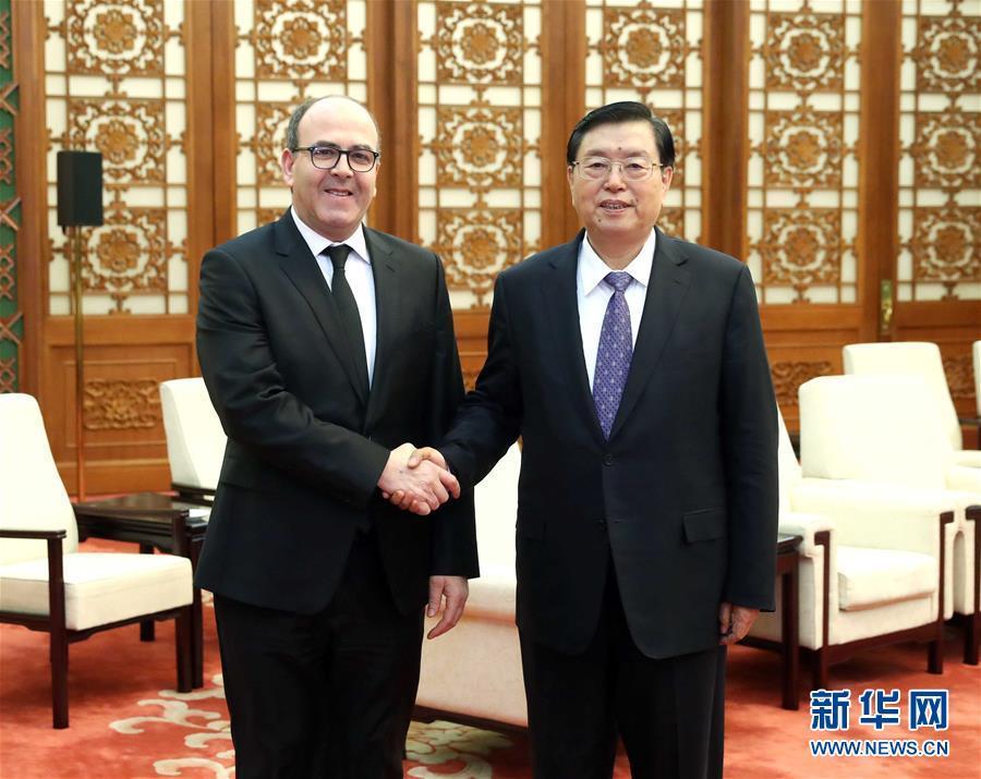 12月20日，全國人大常委會(huì)委員長張德江在北京人民大會(huì)堂會(huì)見摩洛哥參議長本希馬。新華社記者劉衛(wèi)兵攝