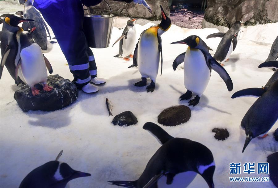 （國(guó)際&middot;一周看天下）海洋館