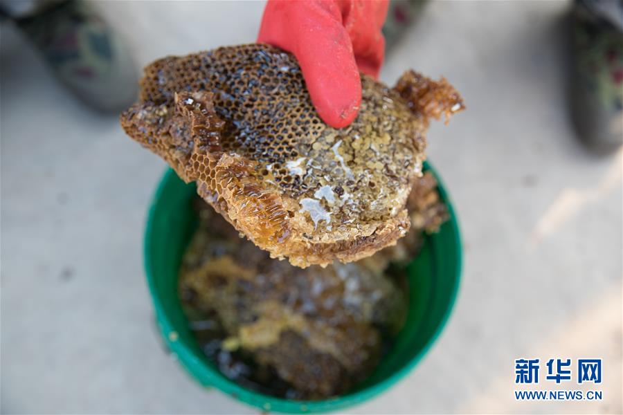 （國際&middot;聚焦進(jìn)口博覽會&middot;圖文互動）（7）通訊：贊比亞蜂蜜企業(yè)欲借進(jìn)博會開拓中國市場