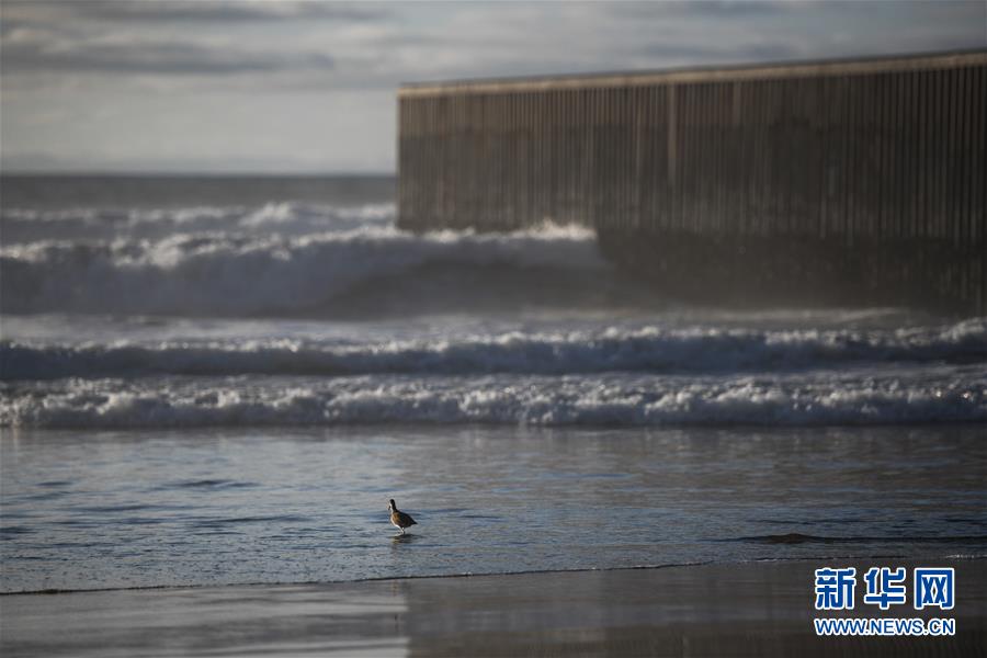 （國(guó)際）（4）美墨邊境墻，從這里開始