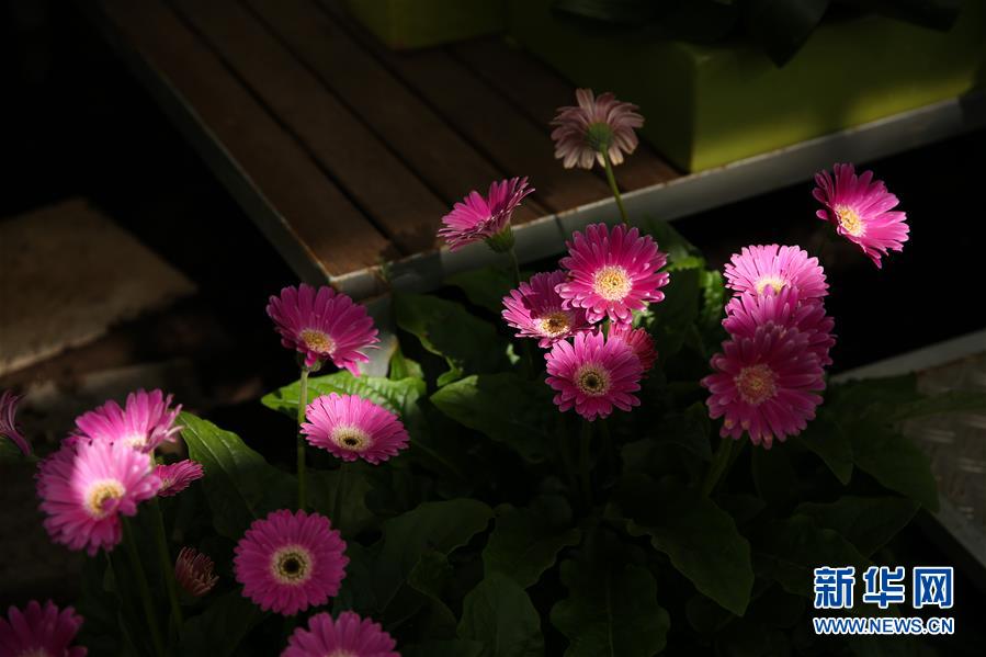 （國際&middot;北京世園會(huì)）（19）世界園林巡禮&mdash;&mdash;比利時(shí)拜加登城堡