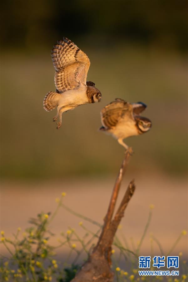 （國際&middot;一周看天下）練習(xí)