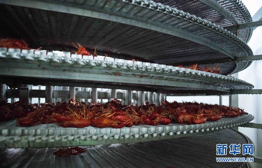 （國際&middot;圖文互動(dòng)）（12）從尼羅河畔到中國餐桌&mdash;&mdash;一只&ldquo;洋&rdquo;小龍蝦的36小時(shí)旅程