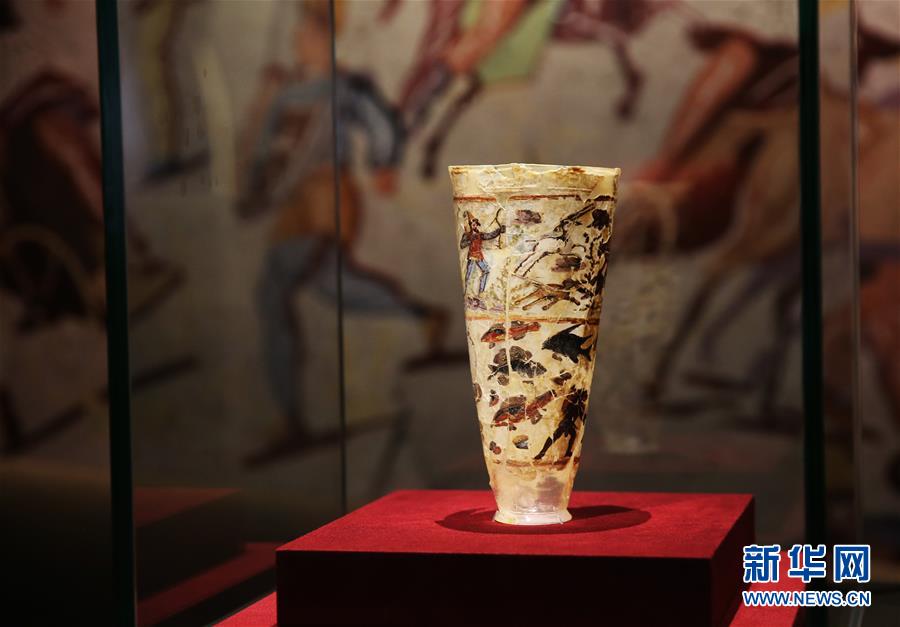 （港澳臺(tái)&middot;圖文互動(dòng)）（3）特寫(xiě)：&ldquo;流浪&rdquo;到香港的阿富汗國(guó)寶