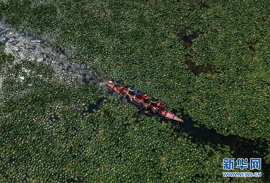 （國(guó)際&middot;年終報(bào)道）（8）2019，精&ldquo;彩&rdquo;紛呈