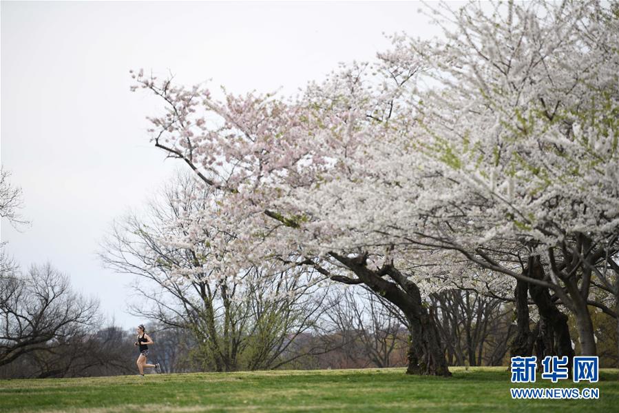（國際疫情）（3）約翰斯&middot;霍普金斯大學：美國新冠肺炎確診病例超10萬例