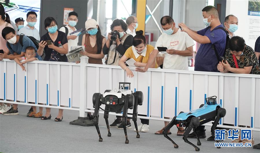 （2020服貿(mào)會）（19）各顯神通的&ldquo;機(jī)器伙伴&rdquo;