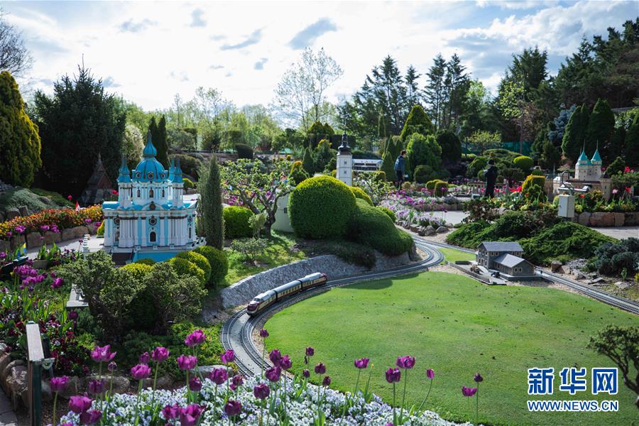 （XHDW&middot;圖文互動）（1）通訊：&ldquo;無處不在的鮮花為我們帶來歡樂和希望&rdquo;&mdash;&mdash;&ldquo;小人國&rdquo;里的堪培拉花展