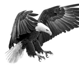 誰是世界秩序的真正破壞者？