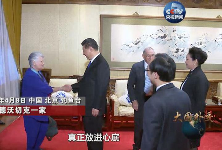 綜述：&ldquo;這部專題片深深撥動(dòng)了我們的心弦&rdquo;&mdash;&mdash;《大國(guó)外交》帶給海外中國(guó)人自豪與感動(dòng)