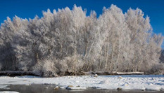沖乎爾：&ldquo;雪樹(shù)銀花&rdquo;童話鎮(zhèn)