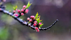 隨心而行，走走停停始終精彩。