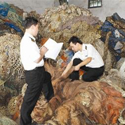 &ldquo;洋垃圾&rdquo;為何有恃無恐