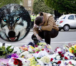 血案頻發(fā) "獨(dú)狼"緣何兇猛？