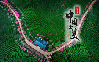 江山如畫(huà)，想把春的故事講給你聽(tīng)